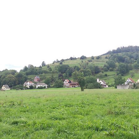 Les Studios Du Frankenthal Stosswihr Екстериор снимка