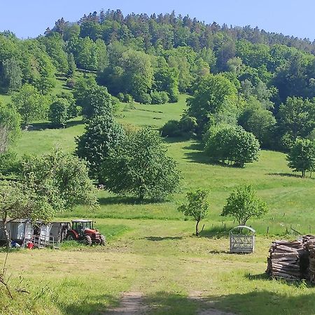 Les Studios Du Frankenthal Stosswihr Екстериор снимка