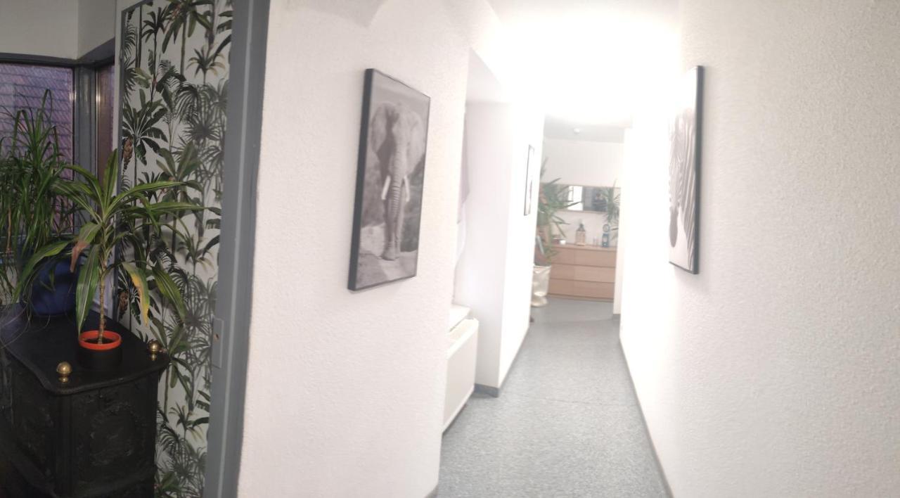Les Studios Du Frankenthal Stosswihr Екстериор снимка