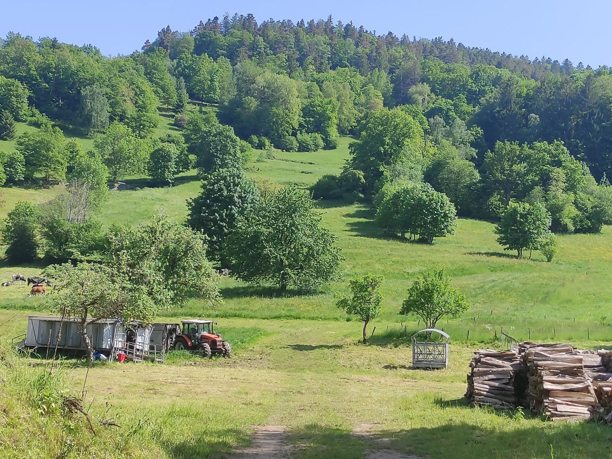 Les Studios Du Frankenthal Stosswihr Екстериор снимка
