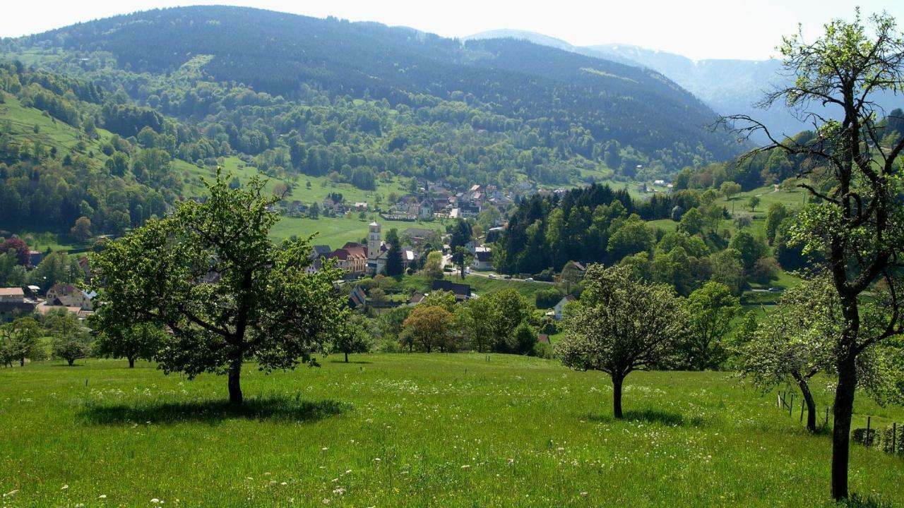 Les Studios Du Frankenthal Stosswihr Екстериор снимка