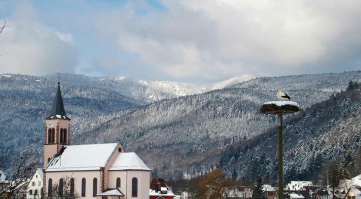 Les Studios Du Frankenthal Stosswihr Екстериор снимка